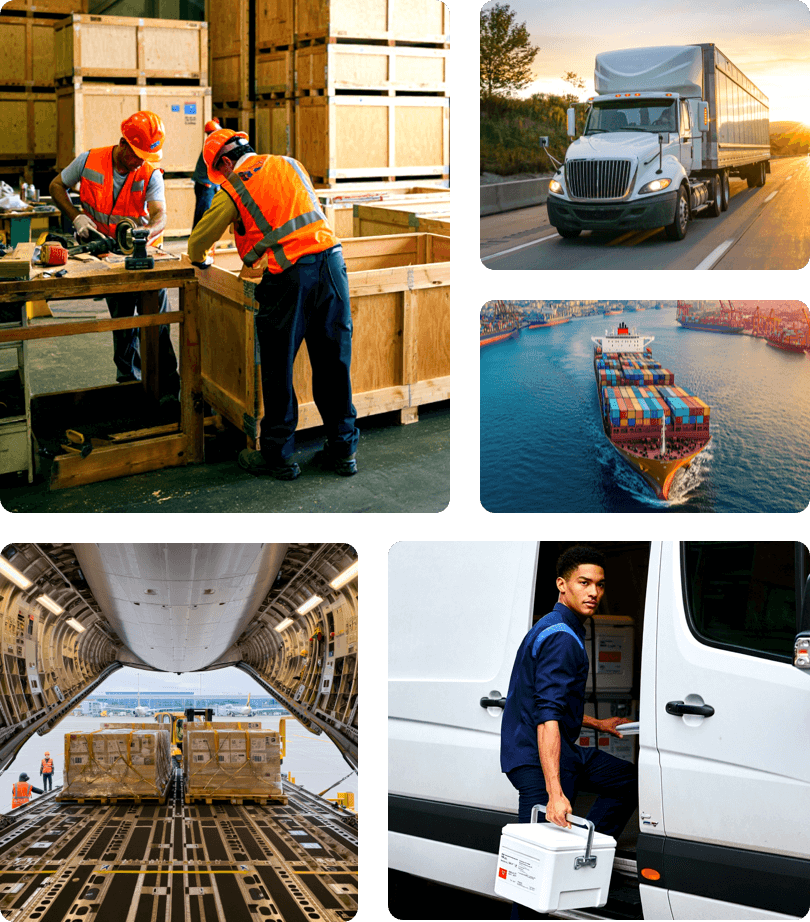 Services Collage 2