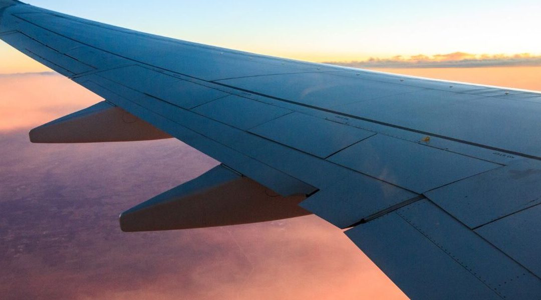 Taking Flight Overnight